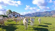 PAYS BASQUE - Agriculture, eau et énergie au cœur des investissements