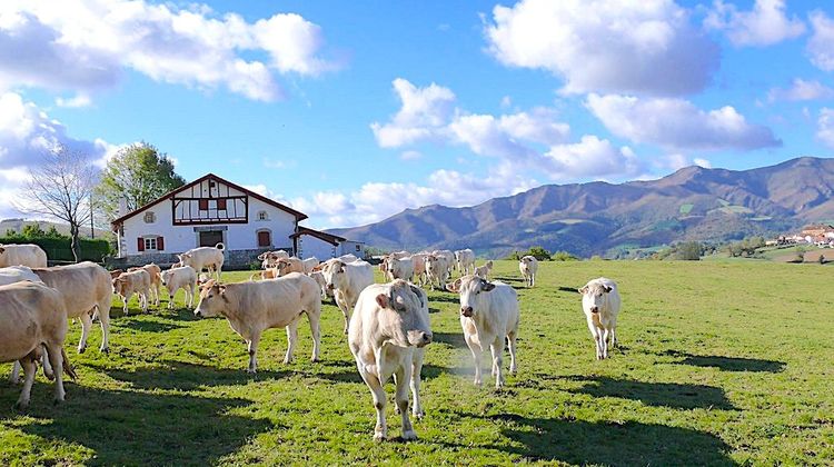 PAYS BASQUE - Agriculture, eau et énergie au cœur des investissements