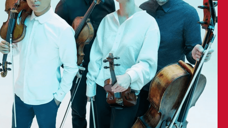 RAVEL DIOTIMA