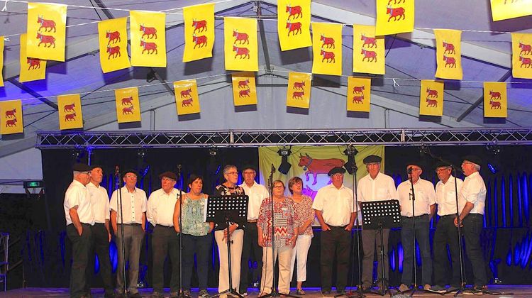 Festival Siros 2