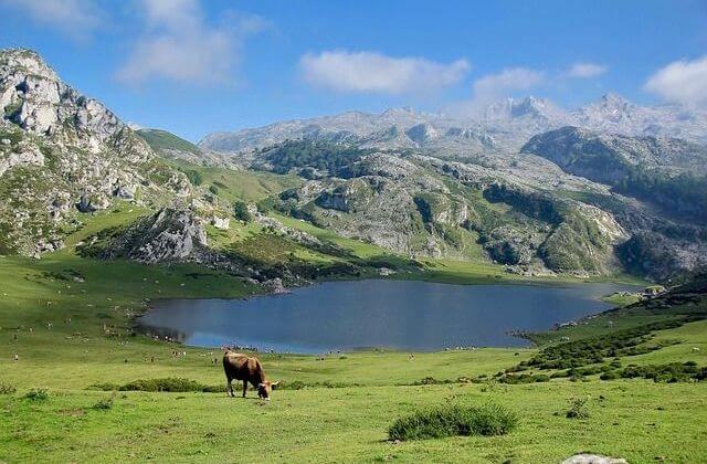 GREEN PYRENEES 3