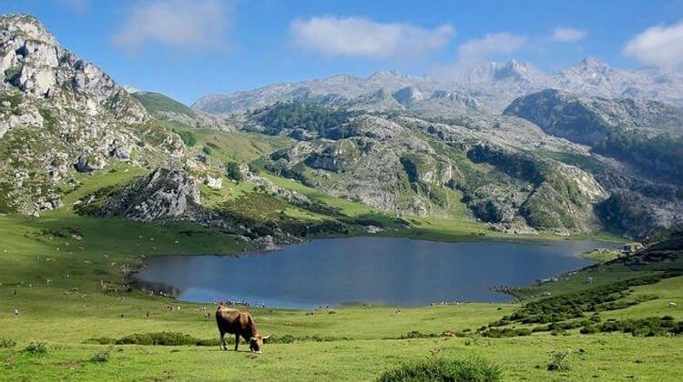 GREEN PYRENEES 3