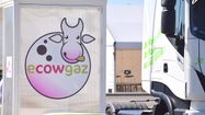 ECOWGAZ 3