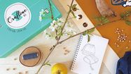 CRAFTINE 3