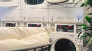 JOYEUX SPOT DU LINGE 3