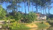 NATUREO 1