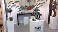 BLEU CITRON MIMIZAN 1