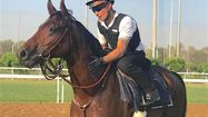 HARAS MANDORE 1