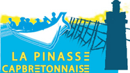 PINASSE visuel