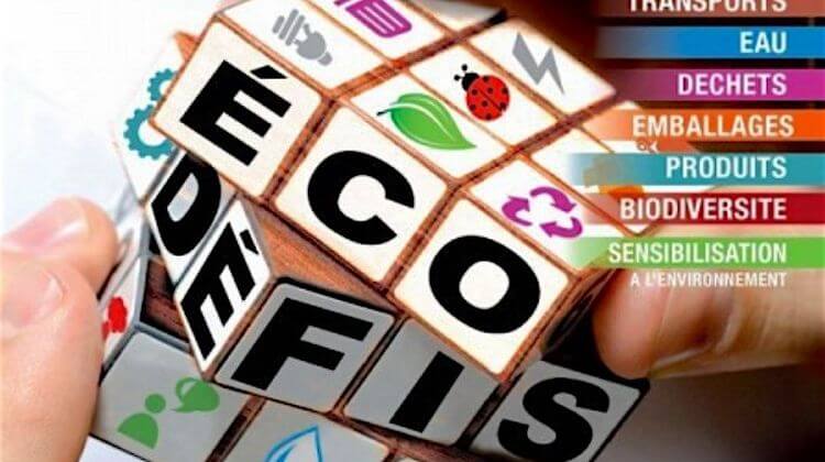ECO DEFIS 4