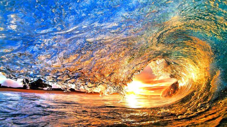 WEE SURF 5