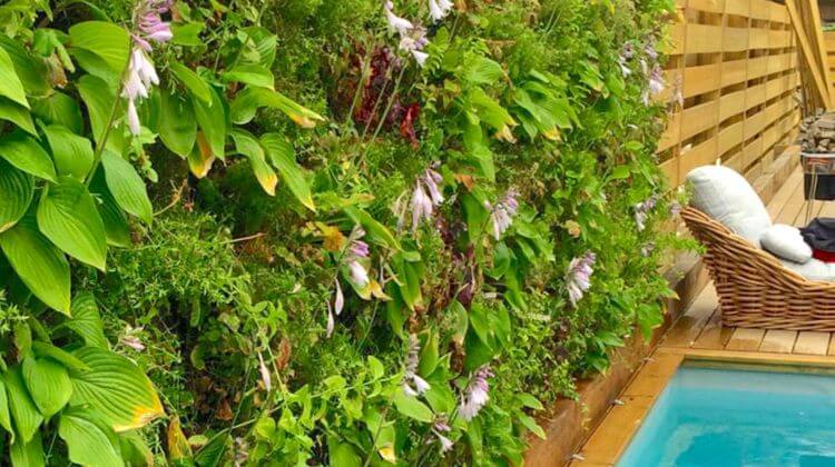 MUR VEGETAL
