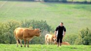 VIANDE BIO