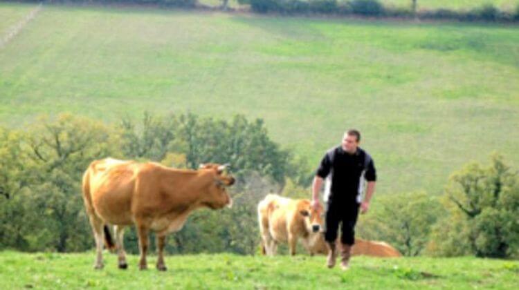VIANDE BIO