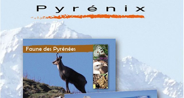 pyrenix1