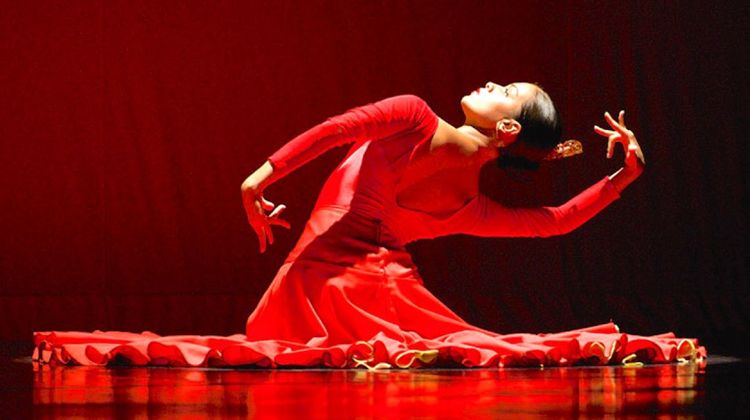FLAMENCO – Mont-de-Marsan au sommet de cette culture