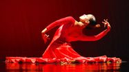 FLAMENCO – Mont-de-Marsan au sommet de cette culture