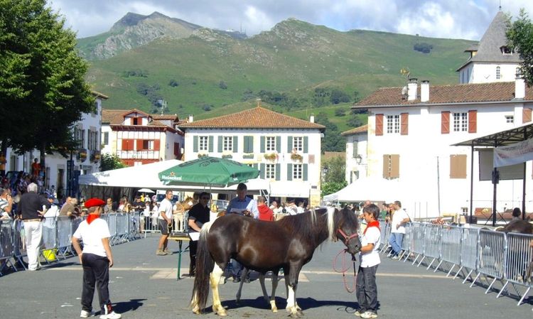 ENGAGEMENT - Sare reconnaît officiellement la langue basque