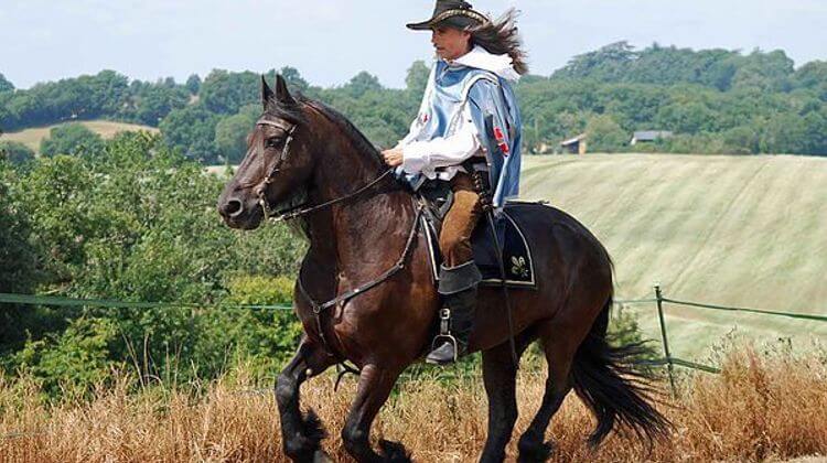 dartagnan2