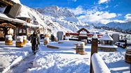 FORMIGAL 5
