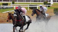 HIPPODROME 5