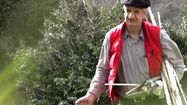 LASSALLE 8