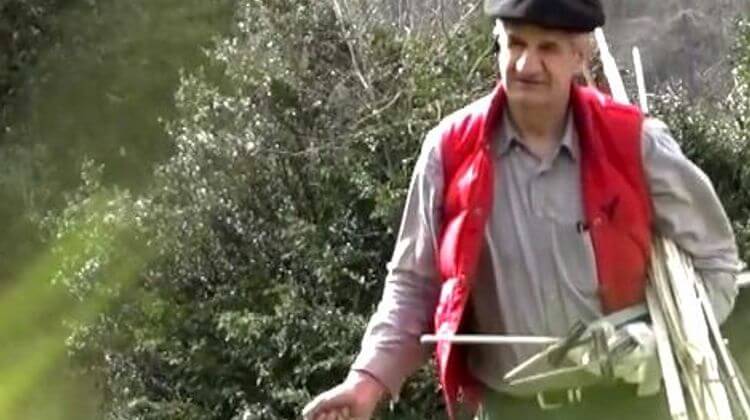 LASSALLE 8