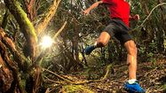 LANDES trail