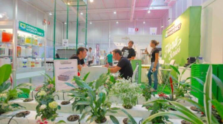 feria-cannabis-2