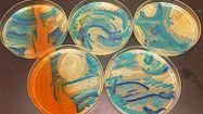 Agar’art 2