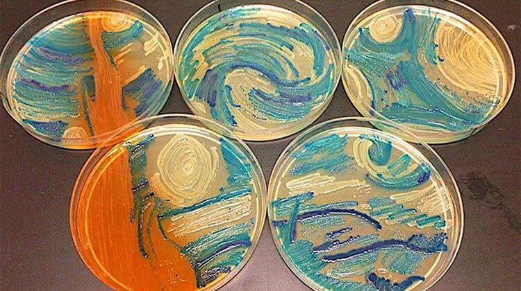 Agar’art 2