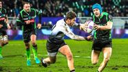 SECTION ZEBRE