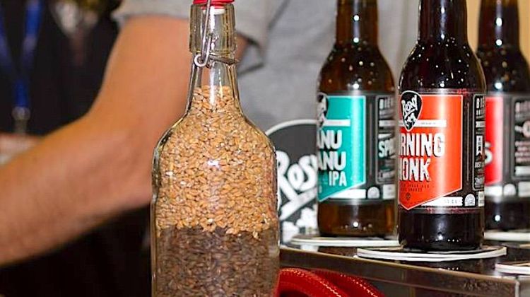 BEER FESTIVAL 5