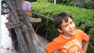 MAEL
