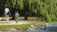 AVEC LES ARBRES – Découverte de la richesse arborée autour de Pau