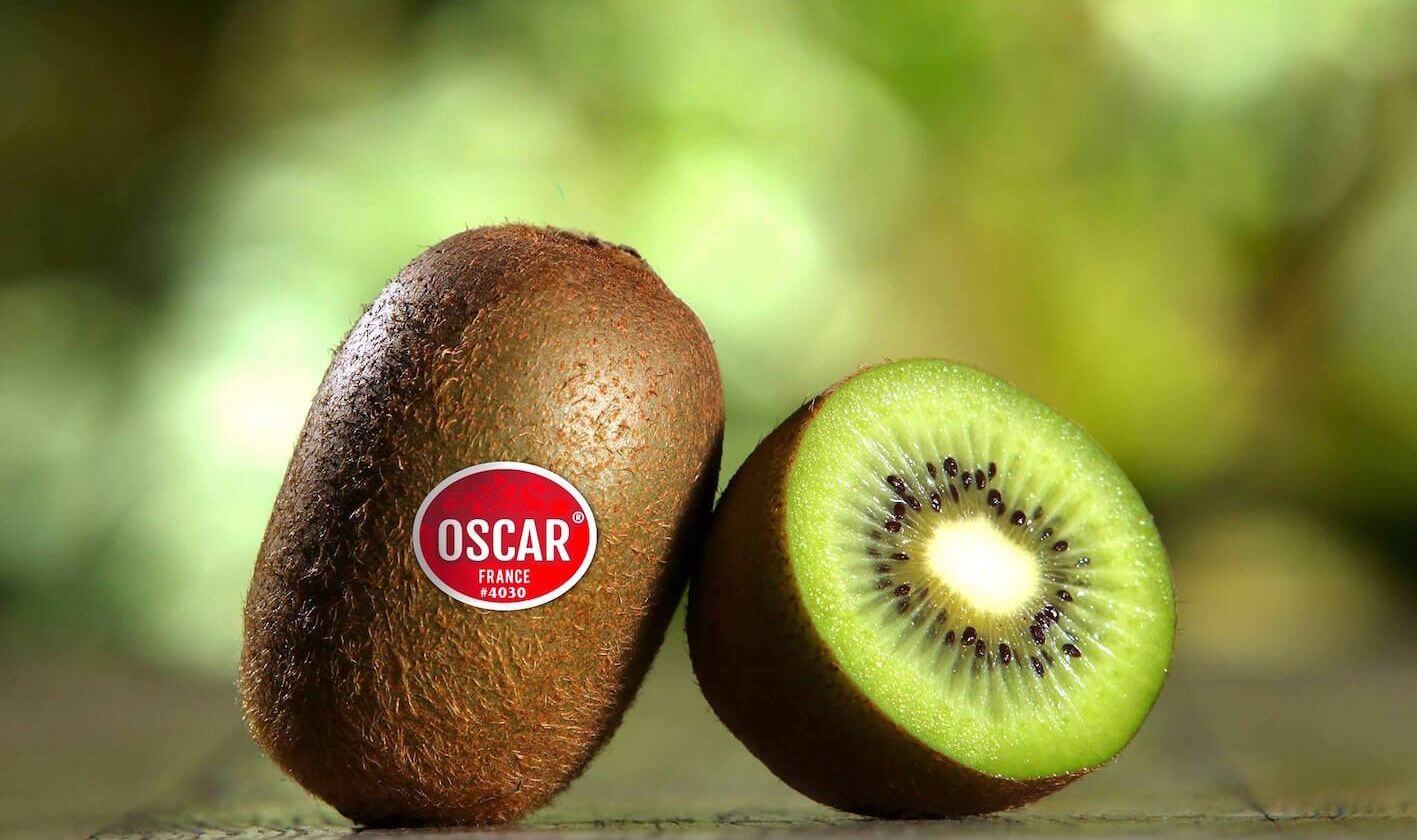 Et si la vie, c’était un kiwi ? PresseLib