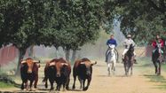 FERIA DAX 8