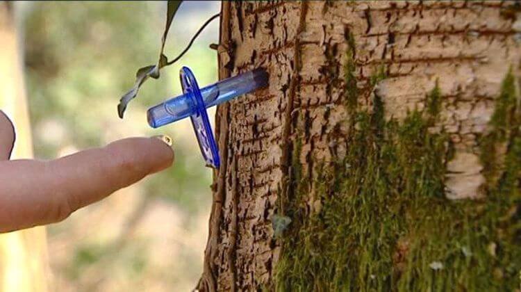 infohautespyreneessevebouleau4