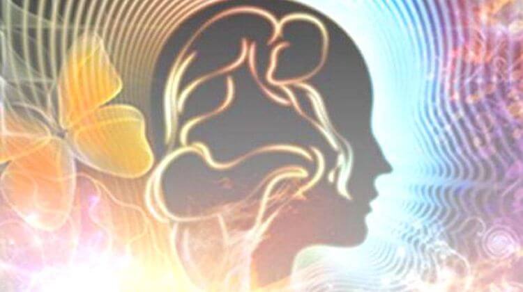 BIOMIMETISME 3