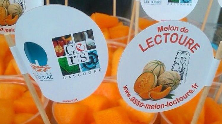 MELON LECTOURE