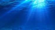 ALGUE BLEUE 5