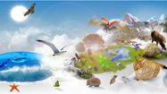 biodiversite