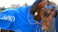 timoko4