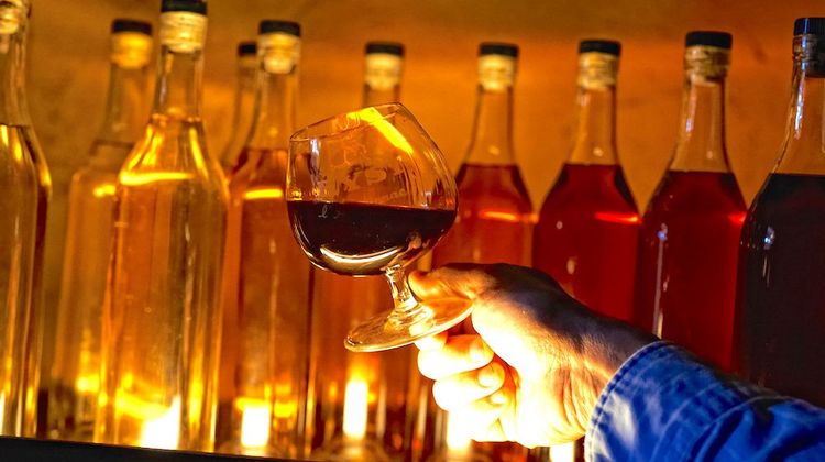 COUP DE CŒUR – Saint-Vincent des Vignerons en mode Rome Antique à Eauze