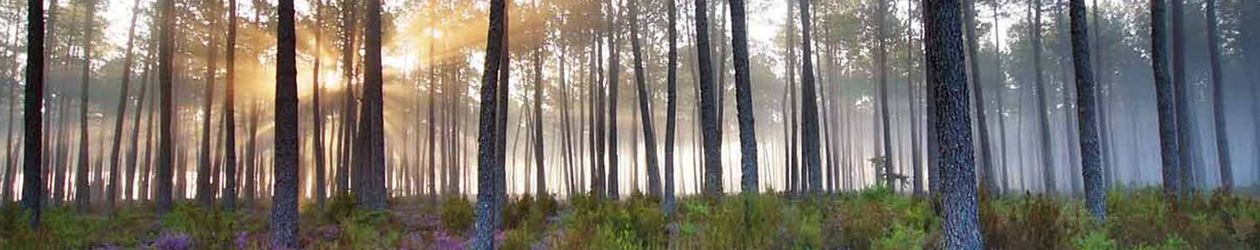 HISTOIRES & CRAPAHUTES - La rando en scène à Saint-Pierre-du-Mont