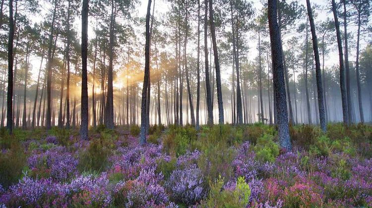 HISTOIRES & CRAPAHUTES - La rando en scène à Saint-Pierre-du-Mont