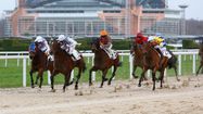 Des jockers sur la piste de l'Hippodrome de Pau lors de la dernière édition du meeting d'hiver.