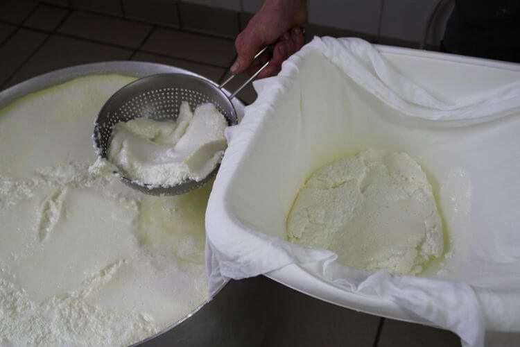 Un producteur de Greuil récupère le fromage à l'écumoire et le dépose dans un linge.