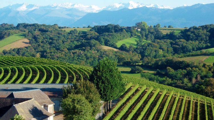 RECORD - Décembre au top pour le tourisme en Béarn et Pays basque