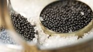 Une boite ouverte de caviar.